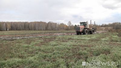 Сливали нечистоты на посевы. Стало известно, за что ученого могли ненавидеть бизнесмены