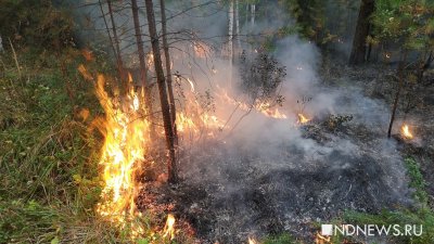 � ������ ������� ����� ������ �������: ����� ���������� ����� ������� �� ���� ������