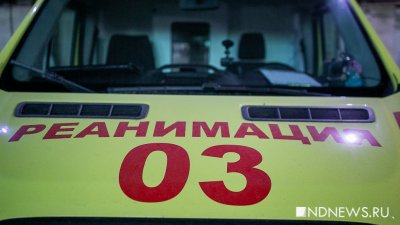 � �������� ������� ������ ���� ������ �������