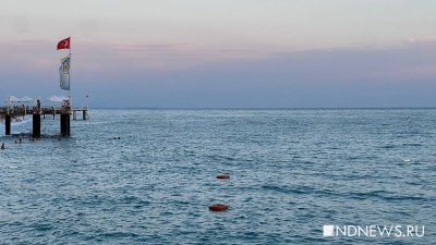 ��������� ������������ �� ����� �������� ������ � ������ ����� 2026 ����