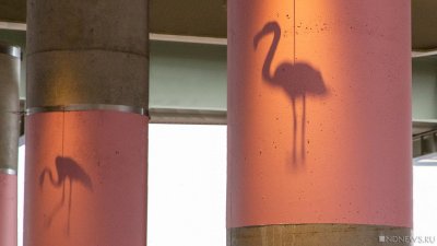 � ���-������ ������ ������� �������� � ��������� ���