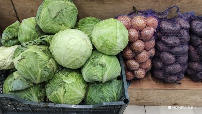 � ��� � ����� � �������� ����� ����� ����� �������������