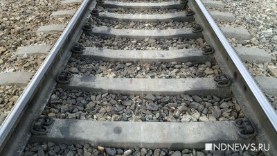 ������ ��������� ���� ������� �������� ��������������� ���� �� ������� �����