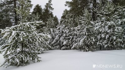 � ������� ����������, �� ������� ��������� ���������� ��� �� ����