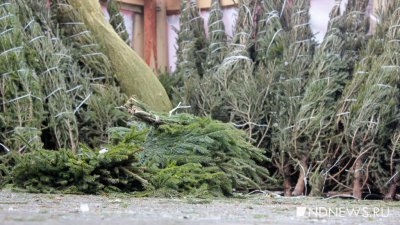 � ������������� ������� 8 ������� ������� (������)