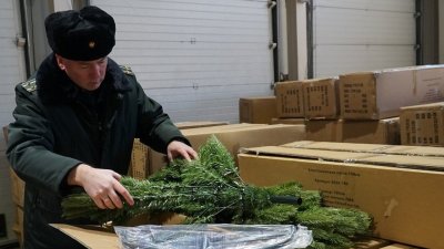 �� ���� �������� 10 ���� ���������� �������