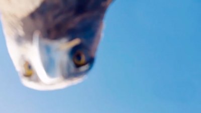 � ������ ���� ����� ����������� � ���� �� ������� ����