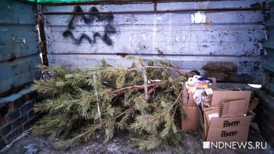 ����������� ������ ������ ������ ���� � �������������