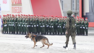 Полпред поручил обеспечить безопасность людей на 1 Мая и День Победы
