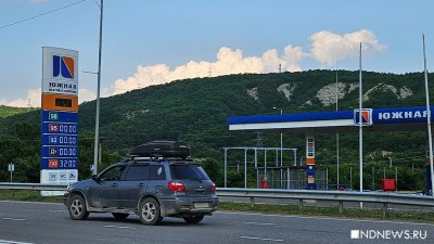 ФАС возбудила 15 дел в отношении участников рынка нефтепродуктов