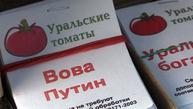 New Day: Russia: sviluppata una nuova variet&224; di pomodori Vova Putin