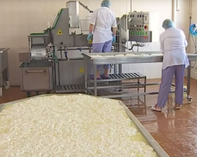 New Day: Nella citt&224; russa di Kostroma avviata la produzione di formaggi italiani