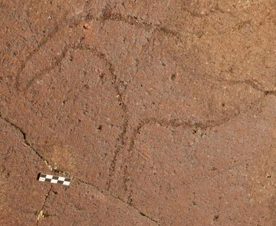 New Day: I disegni rupestri trovati nellAltai tra i pi&249; antichi in Siberia