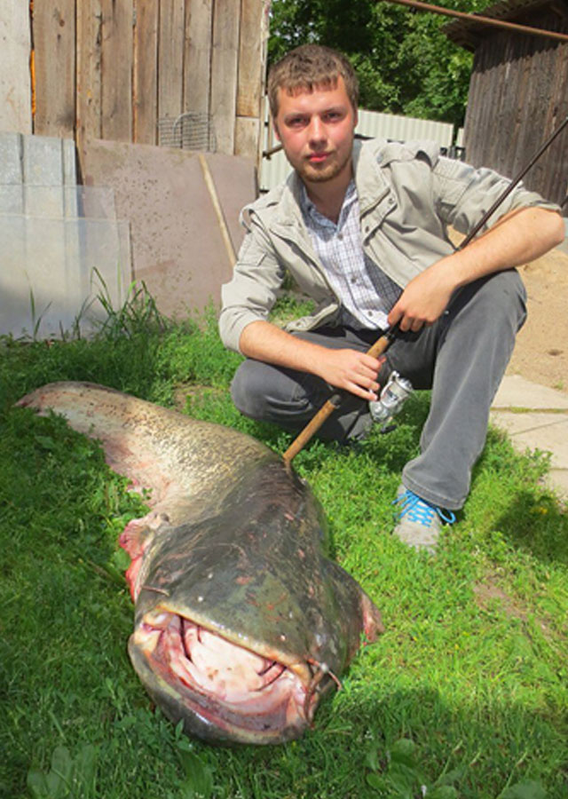 New Day: Una grande pescata a Pskov: pesce siluro da 44 chili (FOTO)