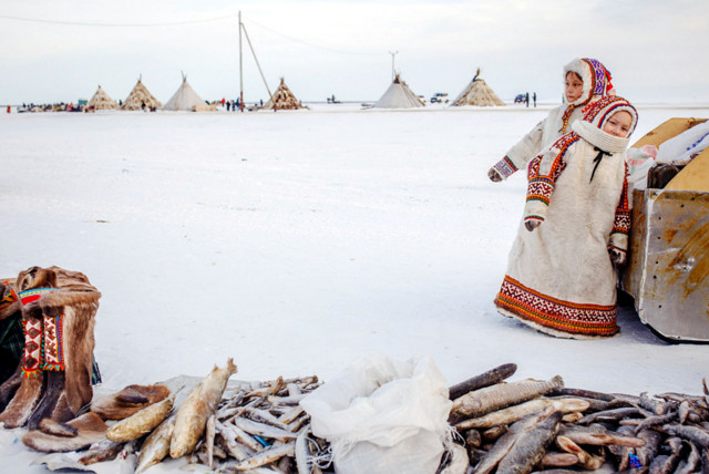 New Day: La vita indigena oltre il Circolo Polare Artico