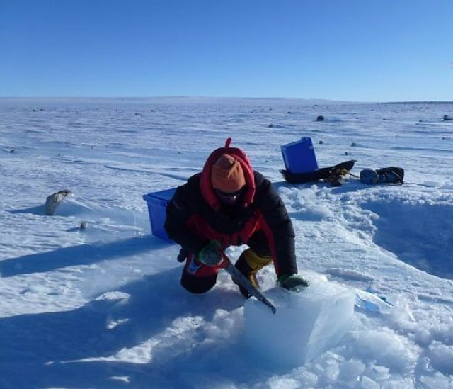 New Day: Gli scienziati degli Urali hanno trovato in Antartide i meteoriti, la cui et&224; stimata &232; di 4 miliardi di anni