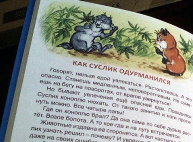 New Day: Messa al bando la marmotta tossicodipendente di un libro per linfanzia