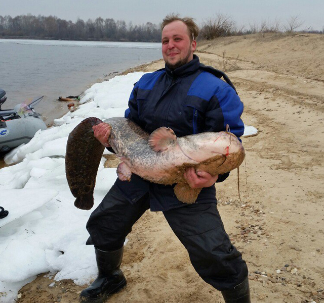 New Day: Abitante di Ni&382;nij Novgorod ha pescato un gigantesco pesce siluro (FOTO)