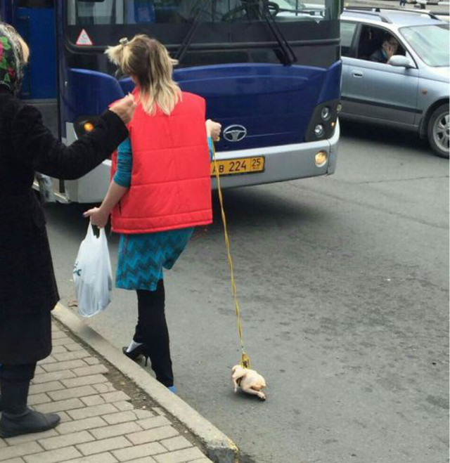 New Day: Una ragazza porta a spasso una carcassa di pollo (FOTO, VIDEO)