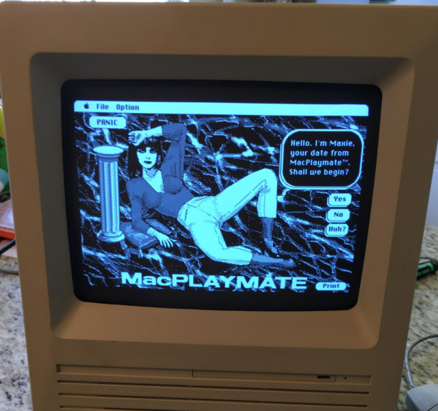 New Day: Entusiasta ritrova un gioco porno per computer di 50 anni fa (FOTO)