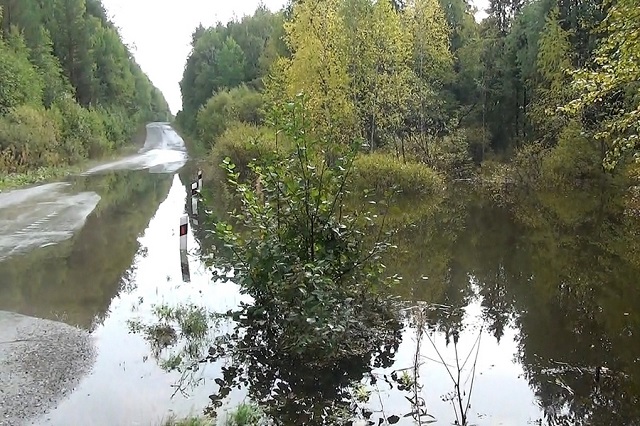 New Day: Negli Urali i castori sono accusati di aver inondato una strada (FOTO)