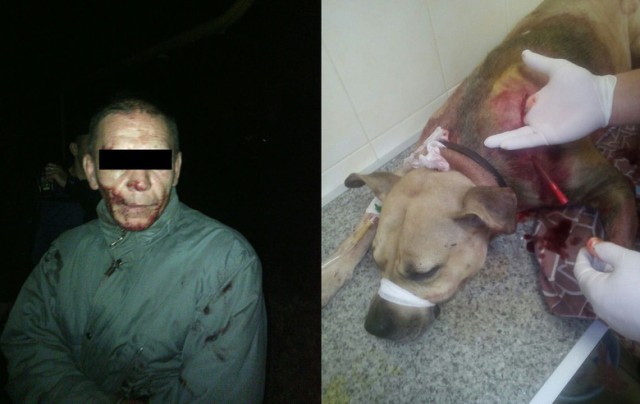 New Day: In Ucraina un uomo uccide un cane e beve il suo sangue (FOTO 18+)