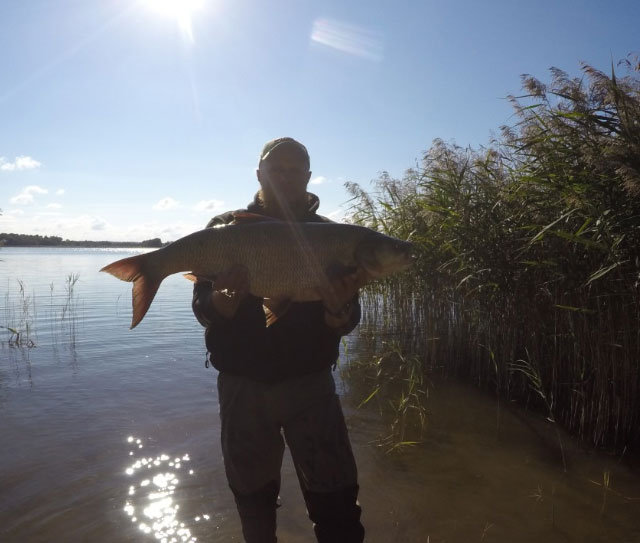 New Day: Carpa carnivora da record pescata in Lituania (FOTO, VIDEO)
