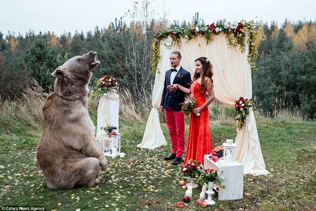 New Day: Matrimonio alla russa: la cerimonia nuziale &232; stata celebrata da un orso (FOTO)