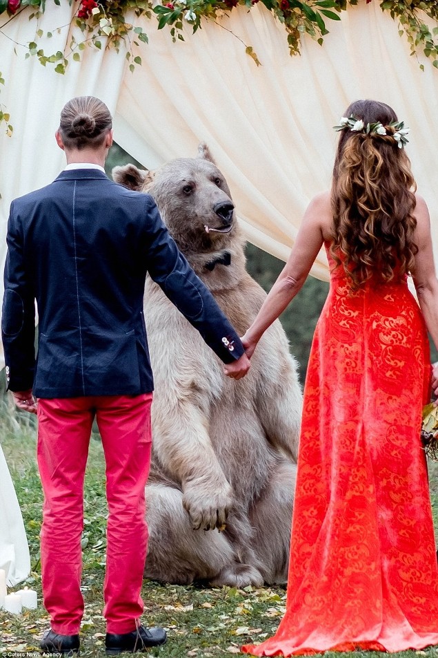 New Day: Matrimonio alla russa: la cerimonia nuziale &232; stata celebrata da un orso (FOTO)