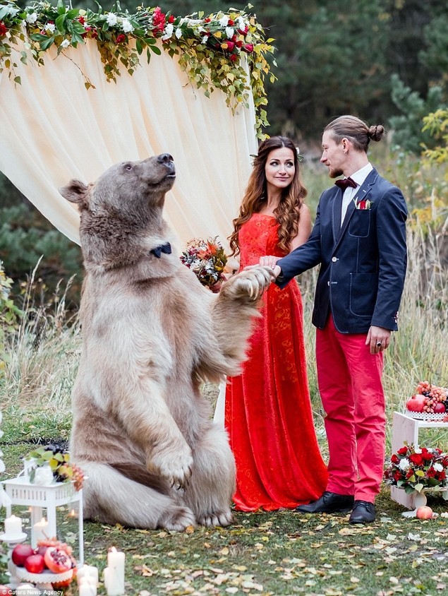 New Day: Matrimonio alla russa: la cerimonia nuziale &232; stata celebrata da un orso (FOTO)