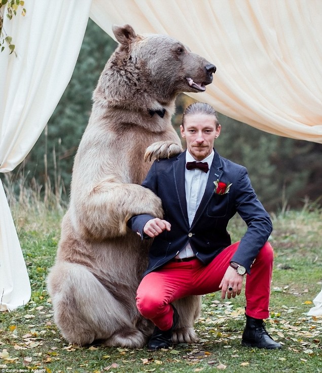 New Day: Matrimonio alla russa: la cerimonia nuziale &232; stata celebrata da un orso (FOTO)