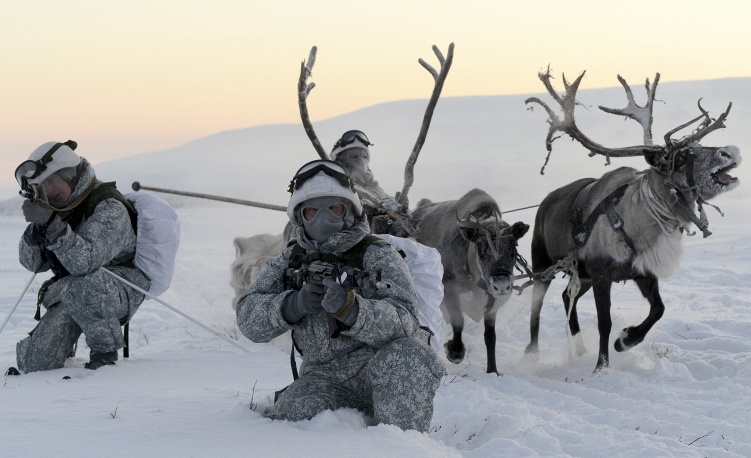 New Day: I tiratori russi dellArtico imparano a guidare le slitte trainate da renne e cani (FOTO)