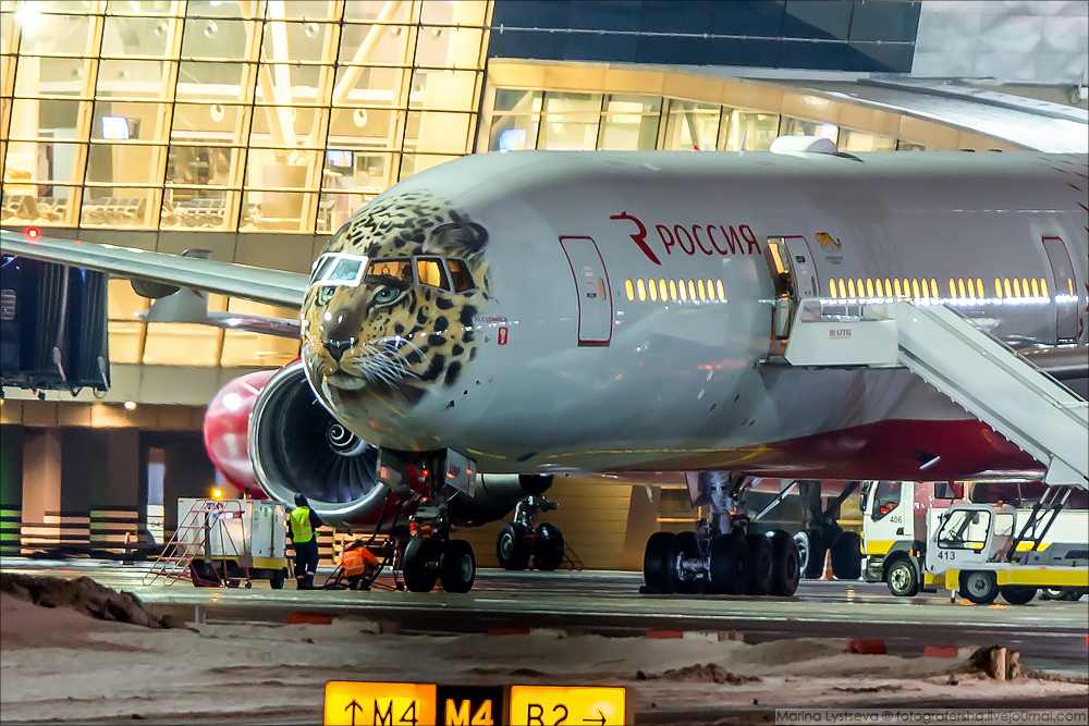 New Day: Compagnia aerea russa si &232; dotata di un aereo-leopardo (FOTO)