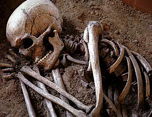 Cittadino russo conserva in casa per sei mesi scheletro dell'età della pietra