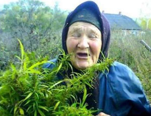 In Russia è stata arrestata la pusher più anziana / La pensionata di 81-enne era conosciuta con il soprannome di «Nonna Nyura-ad hoc»