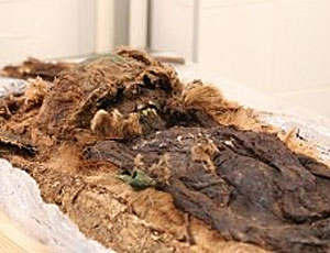 Scienziati russi hanno scoperto una mummia in un bozzolo trovato nella penisola di Yamal (FOTO) / I resti appartengono a un bambino di sei anni