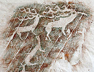 I disegni rupestri trovati nell'Altai tra i più antichi in Siberia