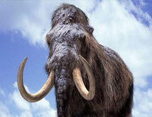 In Siberia gli scienziati hanno trovato l'ultimo habitat di mammut
