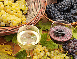 Il vino russo inonderà la madre-patria / L'unificazione della Crimea contribuisce all'aumento della produzione dei vini nazionali