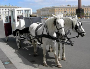 «Ehi, cocchiere!» / Per la guida dei veicoli a trazione animale in Russia sarà obbligatoria la patente