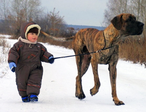Nell'Estremo Oriente russo ai bambini vietato di portare a spasso i propri cani