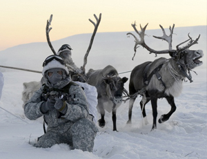 Nell'Artico le esercitazioni delle Forze Armate russe (FOTO, VIDEO) / Militari russi conducevano le slitte trainate da cani e da renne