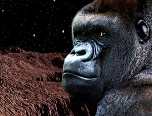 A bordo della Stazione Spaziale Internazionale un gorilla ha aggredito l'astronauta (VIDEO)