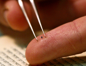 Artigiano siberiano ha creato micro-libri sul taglio dei semi di papavero