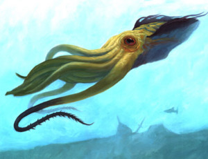 Uno scienziato conferma l'esistenza di calamari grandi come un autobus / Vivono negli abissi dell'oceano mondiale