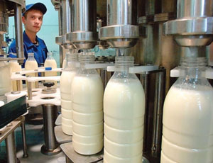 Uomo d'affari italiano avvia produzione di latticini in Čuvašija