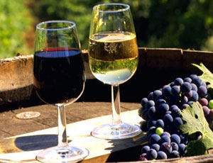 Coproduzione vinicola di Italia e Crimea finirà sui mercati russi ed europei