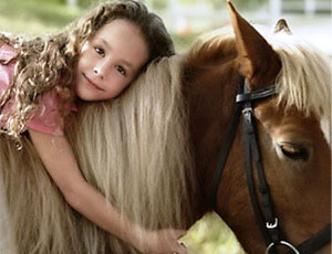 In Kamčatka rubati cavalli che curano i bambini invalidi