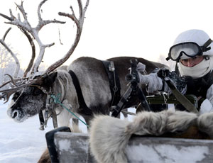I tiratori russi dell'Artico imparano a guidare le slitte trainate da renne e cani (FOTO)